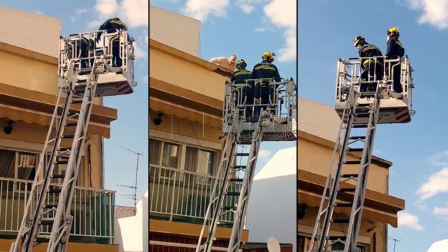 Bomberos interviene en el desprendimiento de un trozo de cornisa en la calle Real