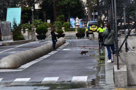 calles-centro-estado-alarma-16