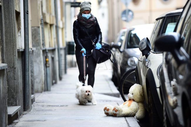 Paseos con mascotas ante el COVID-19: ¿Una actividad permitida?