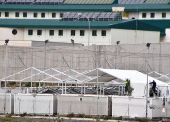 carpa-menores