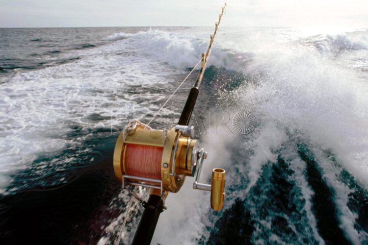 pesca-deportiva