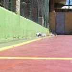 Mixto-33