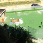 Mixto-7