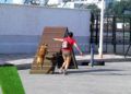 Parque_de_perros_03