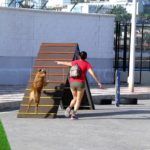 Parque_de_perros_03