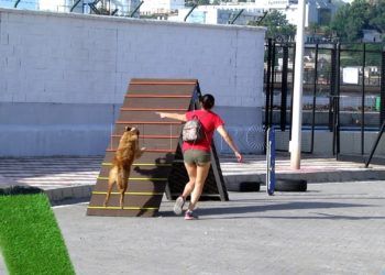 Parque_de_perros_03
