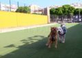Parque_de_perros_07
