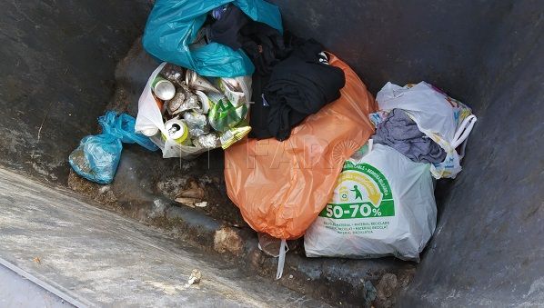 El horario para tirar la basura es para todos, incluidos políticos