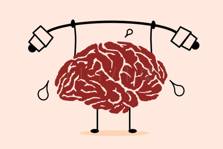 cerebro