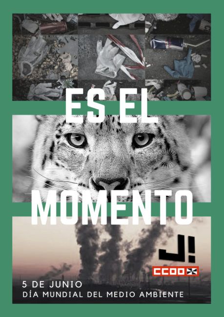 Día Mundial del Medio Ambiente