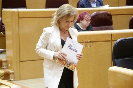 senadora-yolanda-merelo-vox-senado-2