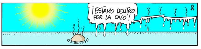 El Faro - Viernes 31 de julio de 2020