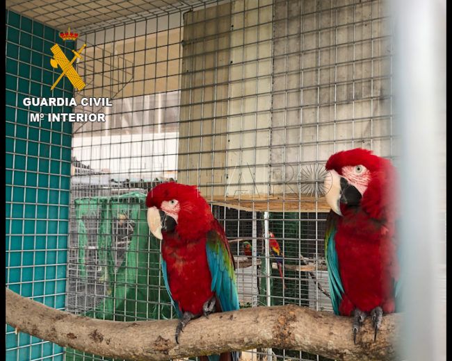 Detenidos por exportar especies protegidas a Marruecos