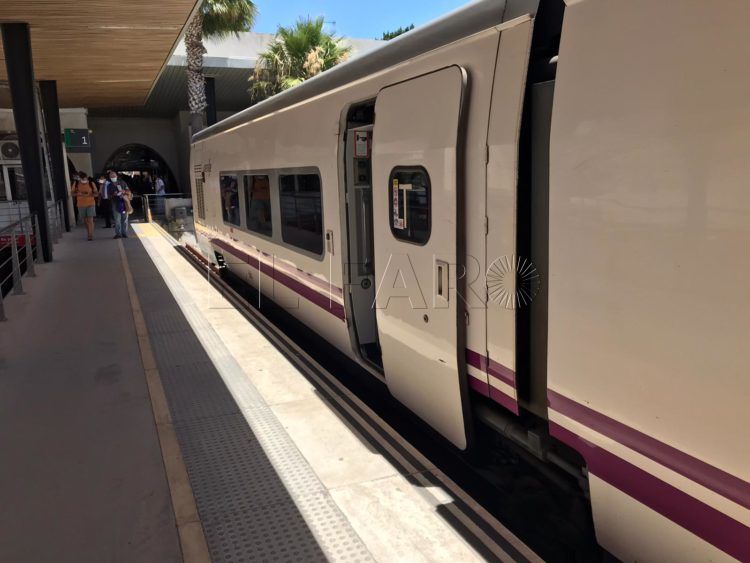 todos-trenes-renfe-admitiran-perros-grandes