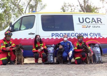 ucar-28
