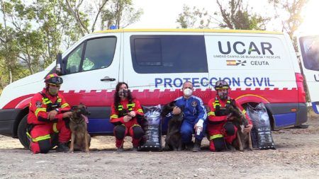 ucar-28