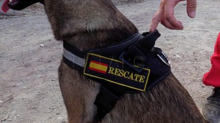 ucar-29
