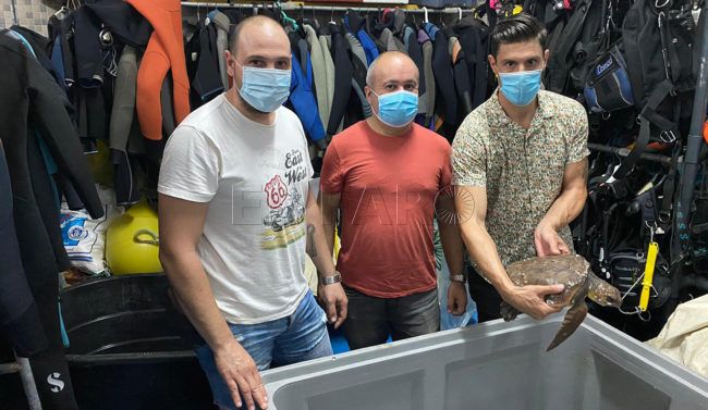 CECAM y ADECU se unen en favor de los animales marinos