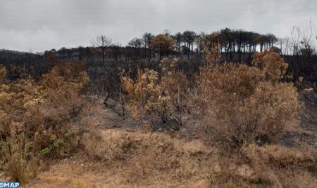 incendio-castillejos-controlado
