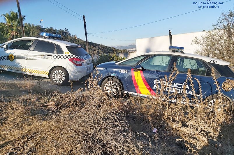 La Policía Nacional detiene a una persona e intervienen 12 plantas de marihuana en el Hacho