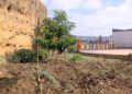 Huerto-Mixto-12