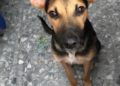 Odin 2