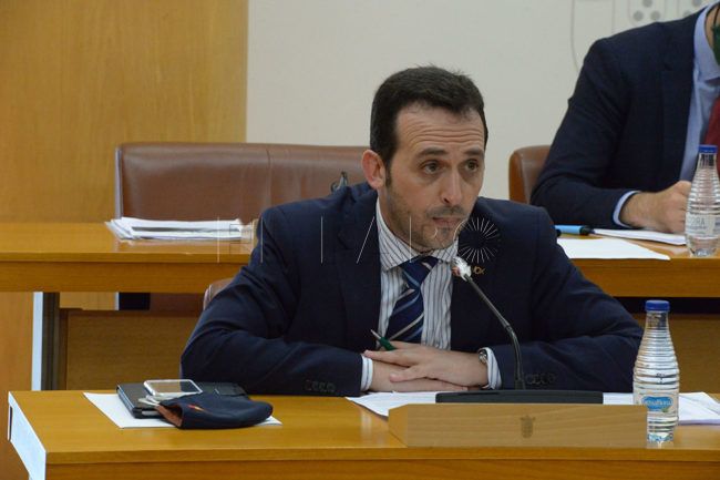 El Faro - Vox celebra sus buenos resultados en SyM Consulting, que atribuye a los pactos PP-PSOE