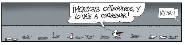 Domingo 25 de octubre de 2020