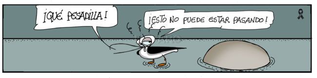 Lunes 26 de octubre de 2020