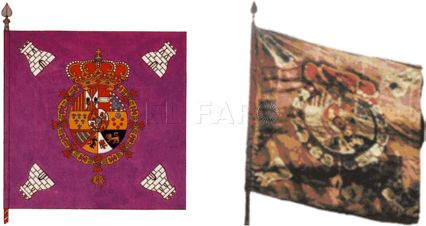 banderas-moradas-3