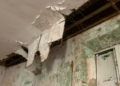brull-abandono-18