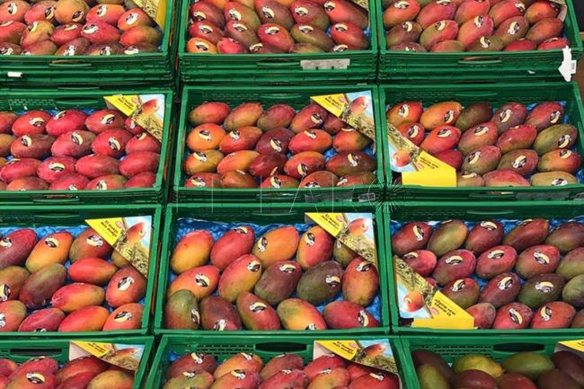 Mercadona prevé comprar más de 2.500 toneladas de mango de origen español