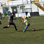 polillas-nervion-10