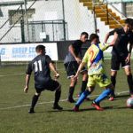 polillas-nervion-11
