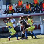 polillas-nervion-15