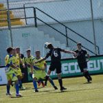 polillas-nervion-16