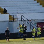 polillas-nervion-3
