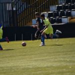 polillas-nervion-5