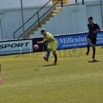 polillas-nervion-6