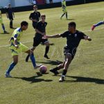 polillas-nervion-7