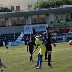 polillas-nervion-8
