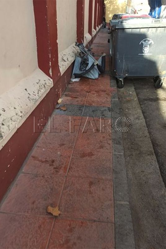 basura-colegio-4