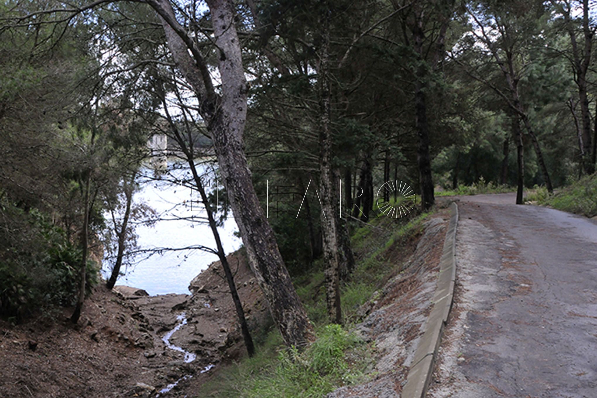 caminos-senderos-pantano