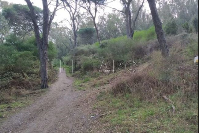 Proteger y cuidar nuestros montes, responsabilidad de todos