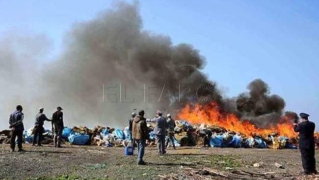 Marruecos calcina 50 toneladas de droga decomisadas a los narcos