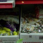 Comestibles Ribera 10