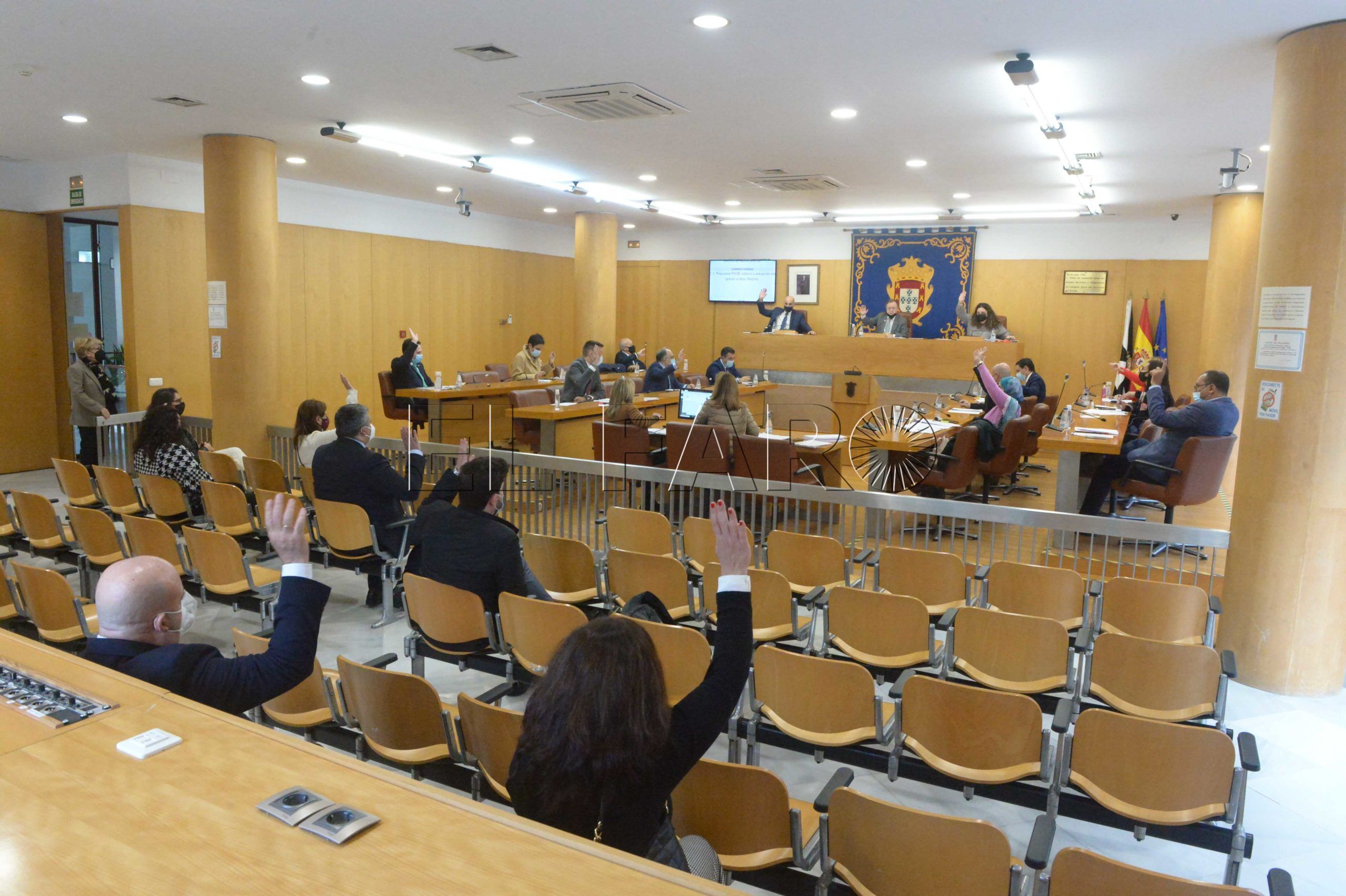 votacion-pleno-asamblea