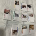 gatos-viaje-francia-4