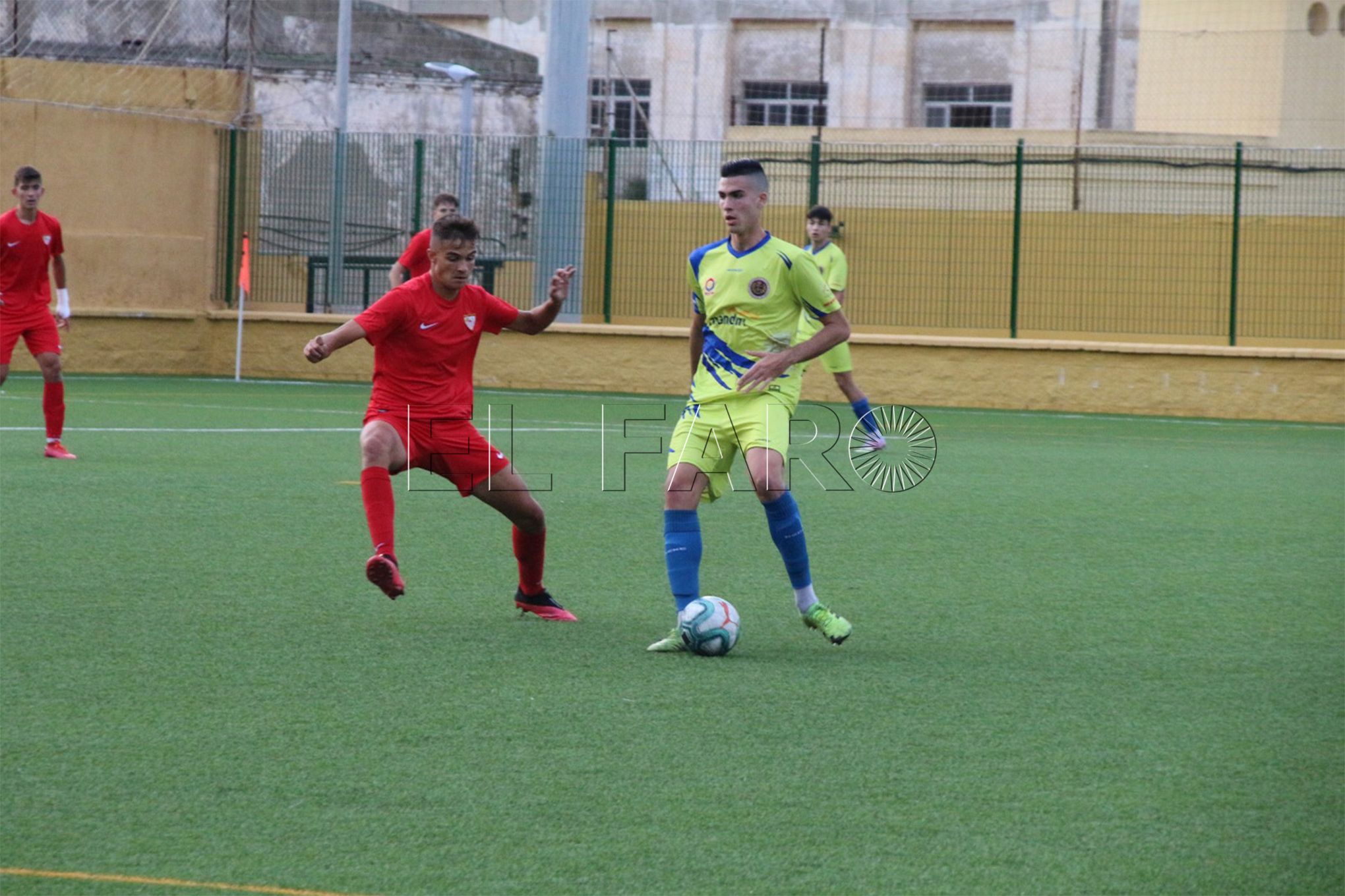 polillas-1
