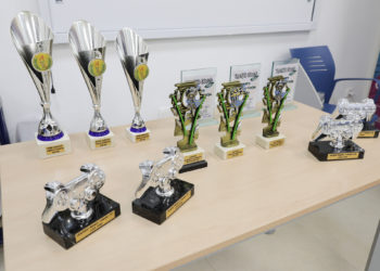 cjce-premios